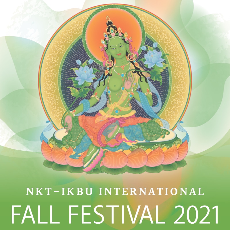 fall-festival-2021 fall-festival-2021