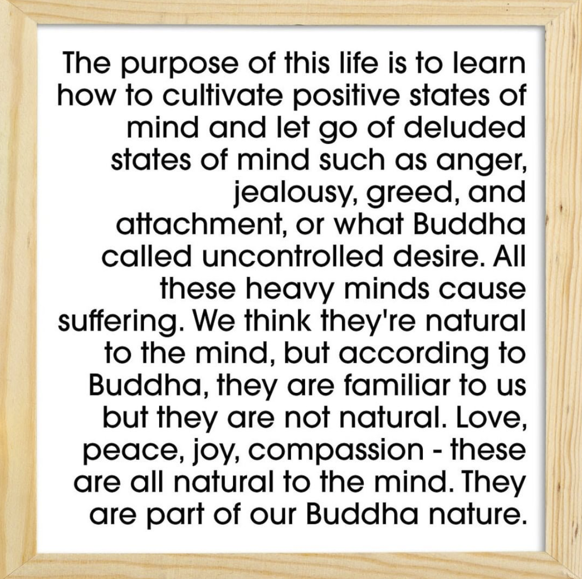 The purpose of this life is to learn how to cultivate positive states of mind and let go of deluded states of mind such as anger, jealousy, greed, and attachment. All these heavy minds cause suffering. We think they're natural to the mind, but according to Buddha, they are familiar to us but they are not natural. Love, peace, joy, compassion - these are all natural to the mind. They are part of our Buddha nature. 