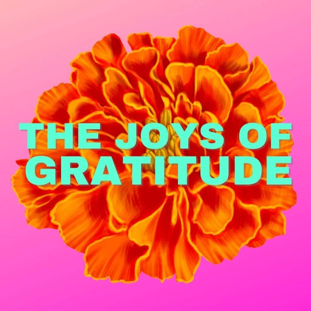 THE JOYS OF GRATITUDE (3)