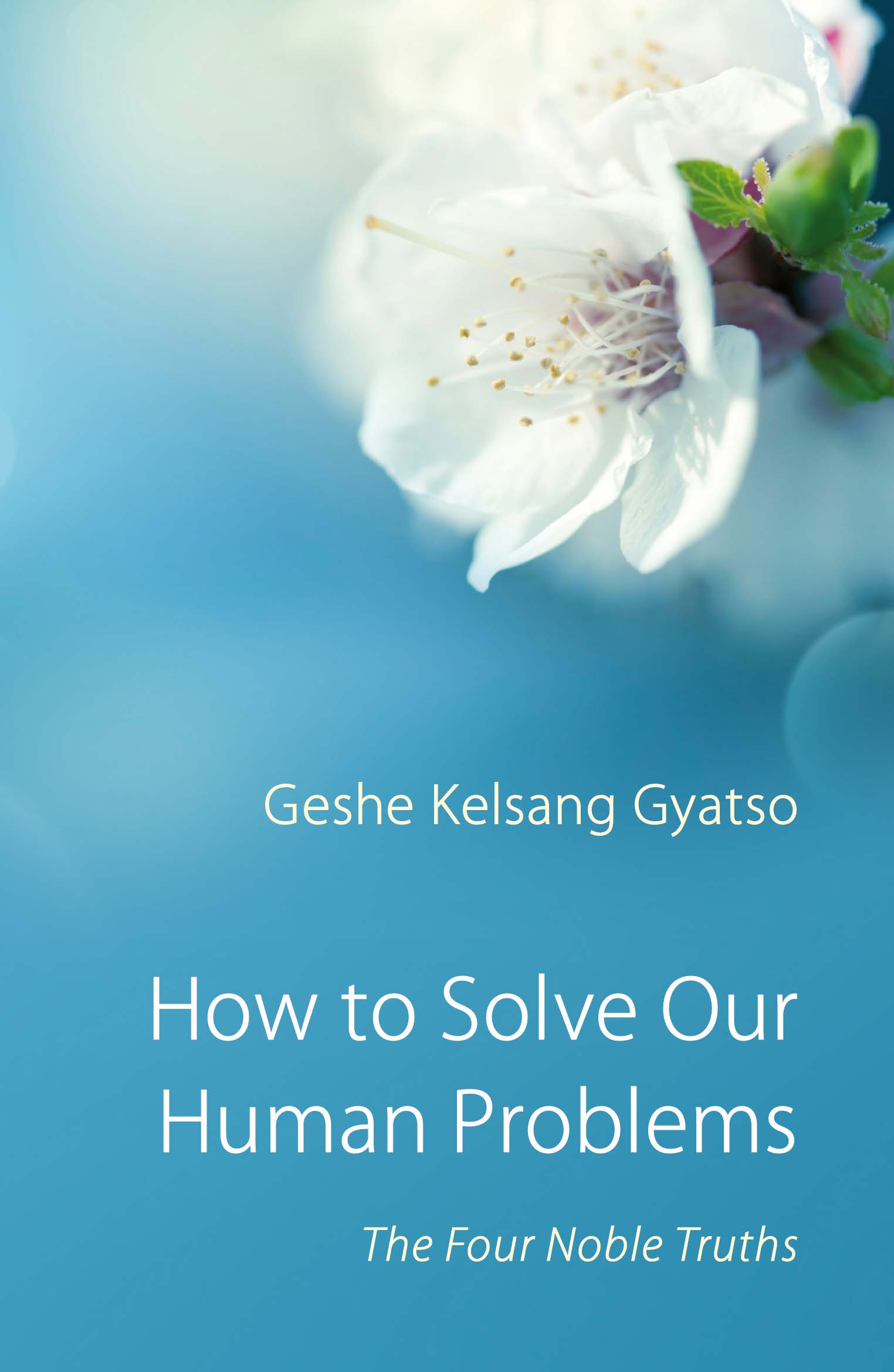 How-to-Solve-Our-Human-Problems-Kadampa-Meditation-Center-Geshe-Kelsang-Gyatso