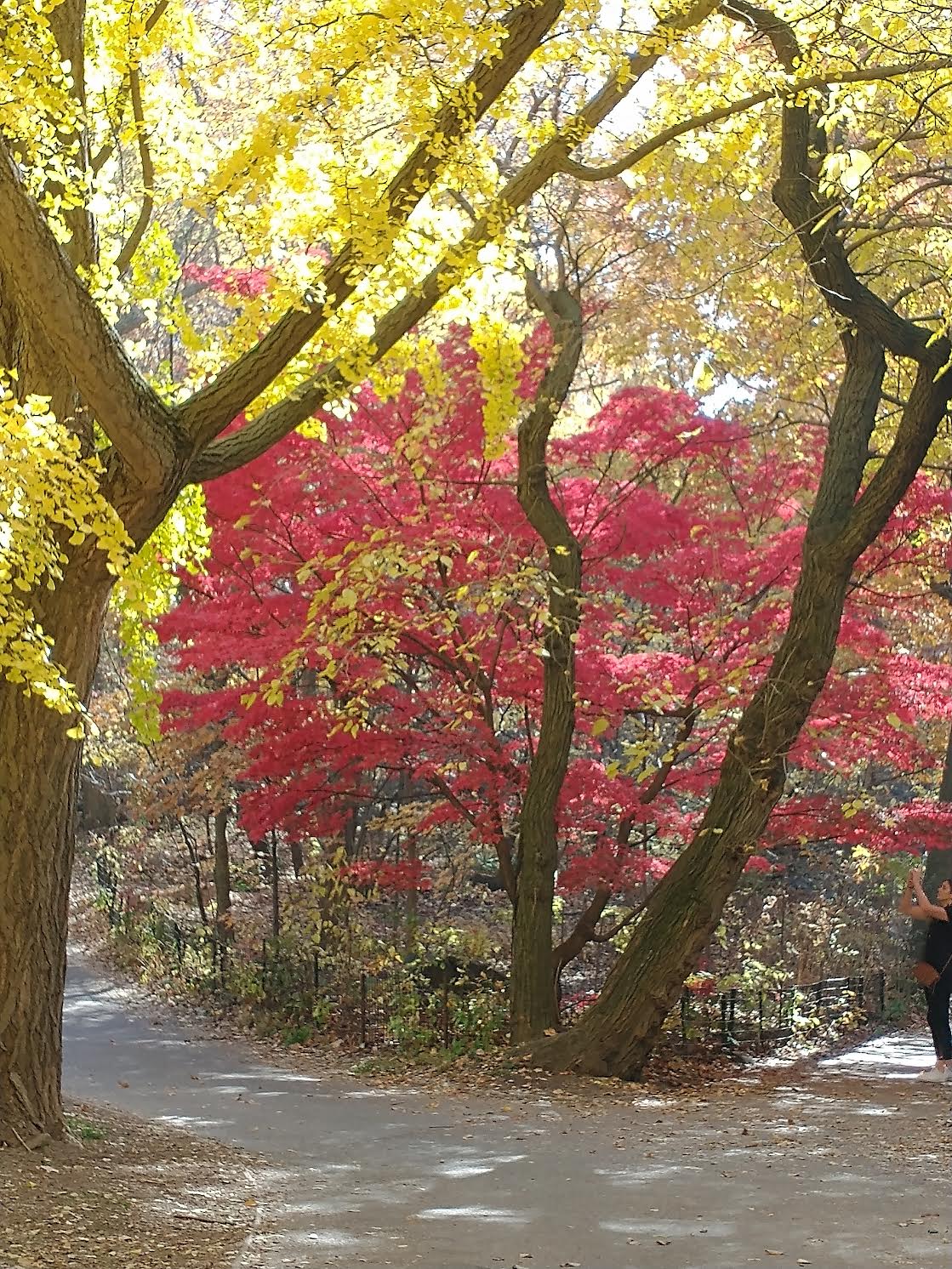 Center Closed Today – Happy Gratitude Day!